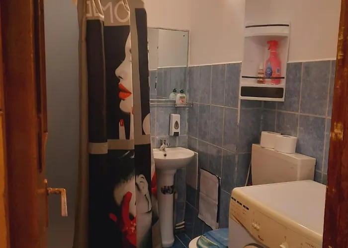 Apartament Garsoniera, 1 , 250 Lei *